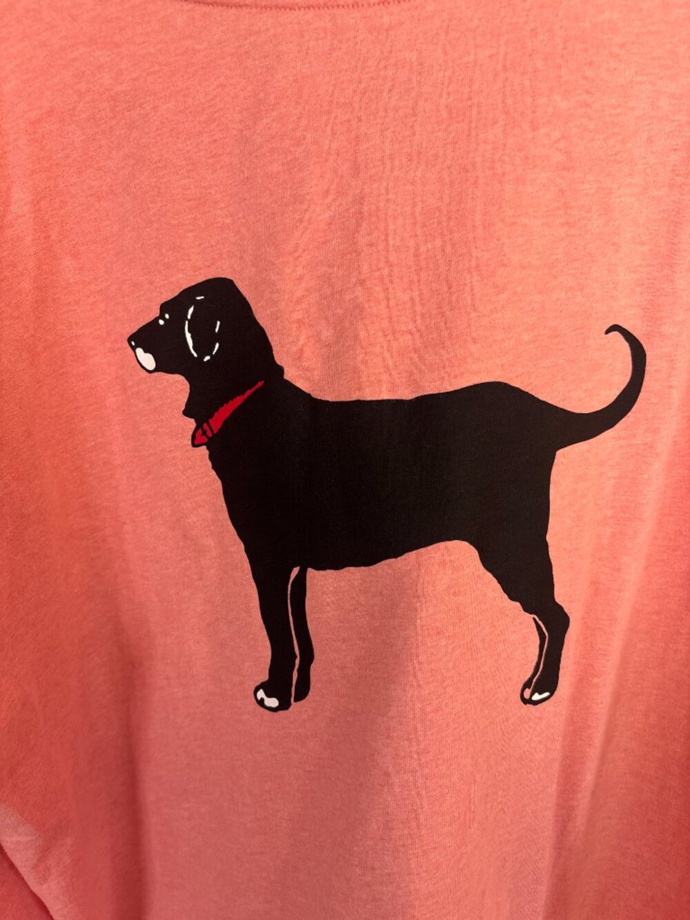 The Black Dog Long Sleeve Tee Mens Large Coral Graphic Portsmouth NH - Picture 6 of 10